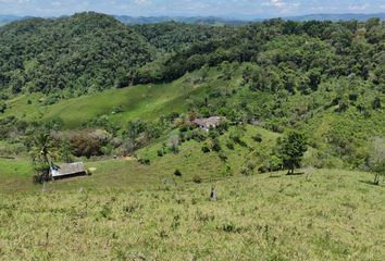 Villa-Quinta en  Maceo, Antioquia, Colombia