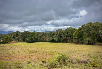 Lote de Terreno en  San Gabriel Ixtla, Estado De México, México