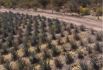 Lote de Terreno en  Arandas, Jalisco, México