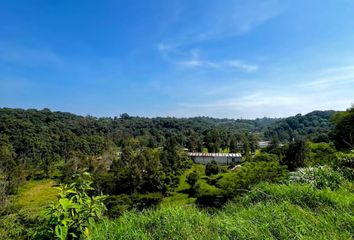 Lote de Terreno en  Coatepec Centro, Coatepec, Veracruz