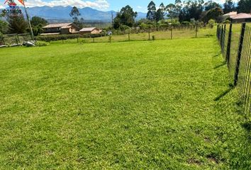 Terreno Comercial en  7pjx+gqc, Ilumán, Ecuador