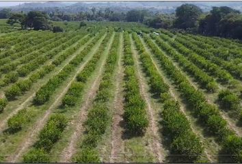 Lote de Terreno en  Nautla, Veracruz De Ignacio De La Llave, Mex