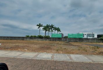 Terreno Comercial en  Isla Mocoli, Samborondón, Ecuador