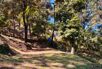 Lote de Terreno en  Calle Fontana Bella, Avándaro, Valle De Bravo, México, 51200, Mex