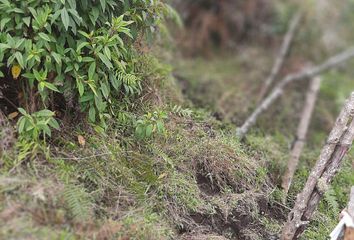 Lote de Terreno en  Concepción, Antioquia, Colombia