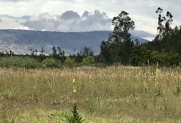 Terreno Comercial en  Puembo, Quito, Ecuador