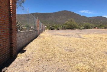 Lote de Terreno en  Tejocote, Gumaro Ramírez, Hidalgo, México