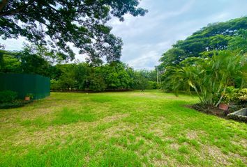 Lote de Terreno en  Rozo, Palmira