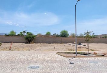 Lote de Terreno en  Carretera San Miguel - Alcocer, Jardines 11, San Miguel De Allende, Guanajuato, 37886, Mex