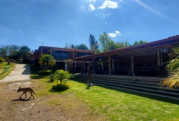 Rancho en  Tzocurio, Michoacán, México