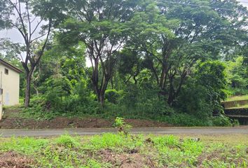 Terreno Comercial en  Lago De Capeira, Via A Daule, Guayaquil, Ecuador