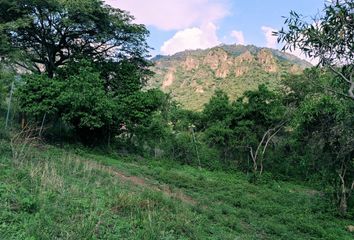 Lote de Terreno en  Amatlán De Quetzalcóatl, Morelos, México