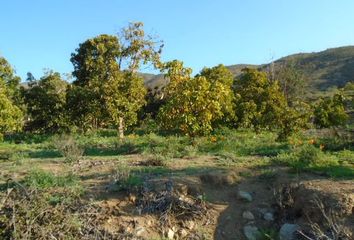 Parcela en  Curacavi, Curacaví, Chile