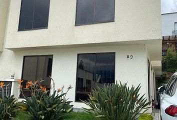 28 casas en arriendo en La Enea, Manizales 