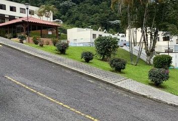 28 casas en arriendo en La Enea, Manizales 