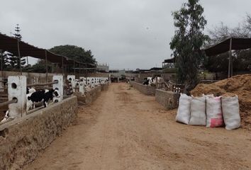 Terreno en  Avenida Bueba Vista, Lurin, Lima, 15823, Per