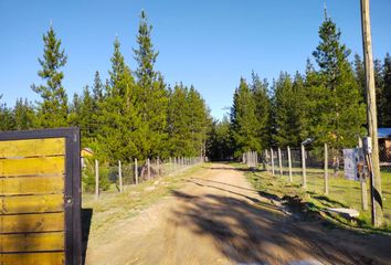 Parcela en  Picaflor, Litueche, Chile