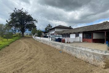 Hacienda-Quinta en  Cayambe