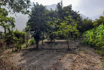 Terreno en  Distrito De Ricardo Palma, Chosica, Huarochirí, Perú