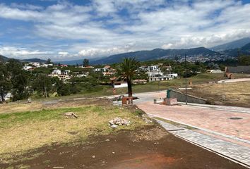 Terreno Comercial en  Tumbaco, Quito