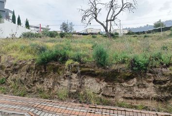 Terreno Comercial en  San Bartolomé De Pinllog, Ambato