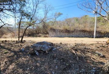 Lote de Terreno en  Fraccionamiento Rancho San Diego, Tonatico - Taxco, Ixtapan De La Sal, Estado De México, México