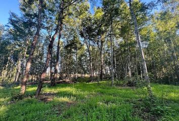 Parcela en  Villarrica, Cautín