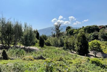 Terreno Comercial en  Portal De Cumbayá 1, Via Pillagua, Quito, Ecuador