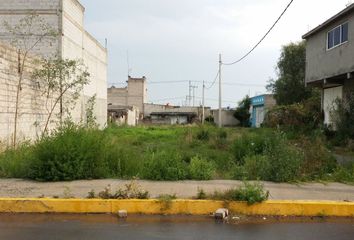 Lote de Terreno en  Calle Miguel Hidalgo, Granjas Arenal, Atenco, México, 56300, Mex