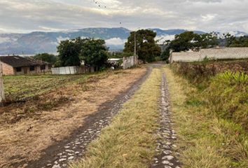 Terreno Comercial en  10 De Agosto 263, San Antonio De Ibarra, Ecuador