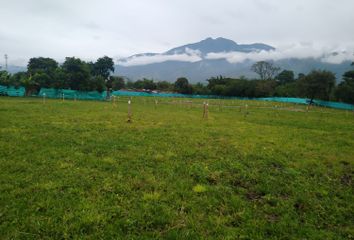 Lote de Terreno en  Tienda Nueva, Palmira, Valle Del Cauca, Colombia