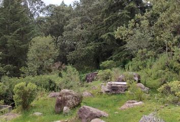 Lote de Terreno en  Villa De Arriaga, Estado San Luis Potosí