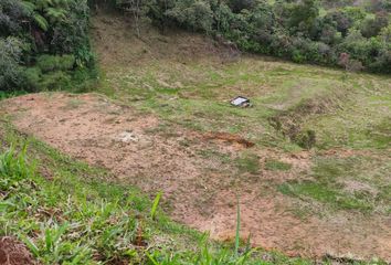 Lote de Terreno en  Santo Domingo, Antioquia