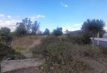 Hacienda-Quinta en  Guayllabamba, Quito, Ecuador