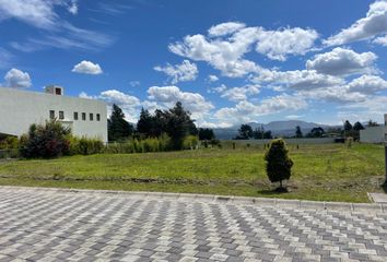 Terreno Comercial en  Puembo, Quito