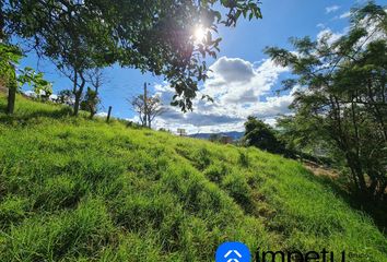 Terreno Comercial en  Loja