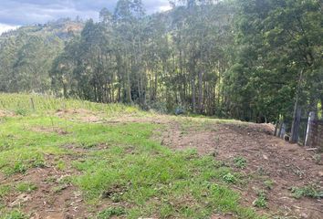 Terreno Comercial en  Pampa Vintimilla, Chuquipata Centro, Azogues, Cañar, Ecuador