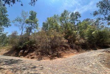 Lote de Terreno en  Rancho Pinto, Tapalpa Country Club, Jalisco, México