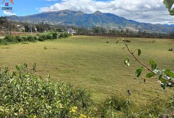 Terreno Comercial en  Patalanga, Cotacachi, Ecuador