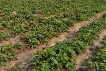 Terreno en  Chancay, Huaral