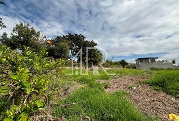 Terreno Comercial en  Julio Tobar Donoso, Puembo, Ecuador