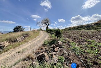 Terreno Comercial en  El Tambo, Catamayo