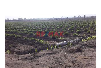 Terreno en  Carretera A Ungará, San Vicente De Cañete, Perú