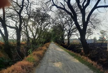 Lote de Terreno en  C. Ciprés, Fraccionamiento Alamos 1, 52148 Metepec, Méx., México