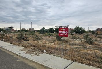 Terreno en  Castilla, Piura, Per