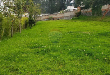 Terreno Comercial en  Isaac Barrera & Avenida Princesa Toa, Quito, Ecuador