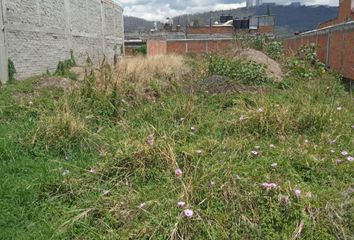 Lote de Terreno en  Chapultepec Oriente, Morelia, Michoacán, México