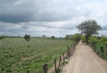 Lote de Terreno en  Pocitos Y Rivera, Municipio Veracruz