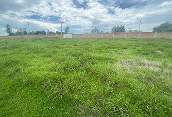 Lote de Terreno en  Alamo Country Club, Celaya, Guanajuato, México