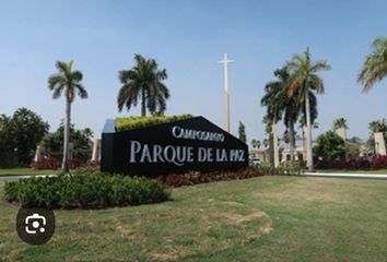 Terreno Comercial en  Camposanto Parque De La Paz 